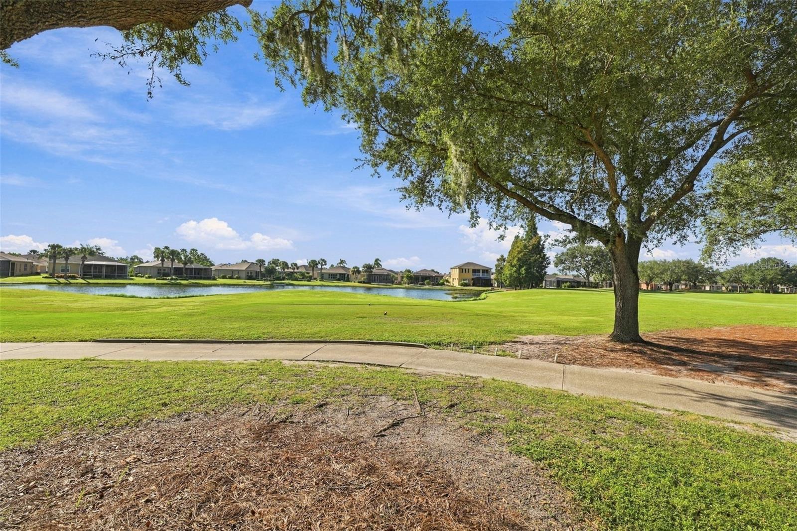 1106 EMERALD DUNES DR — photo 46