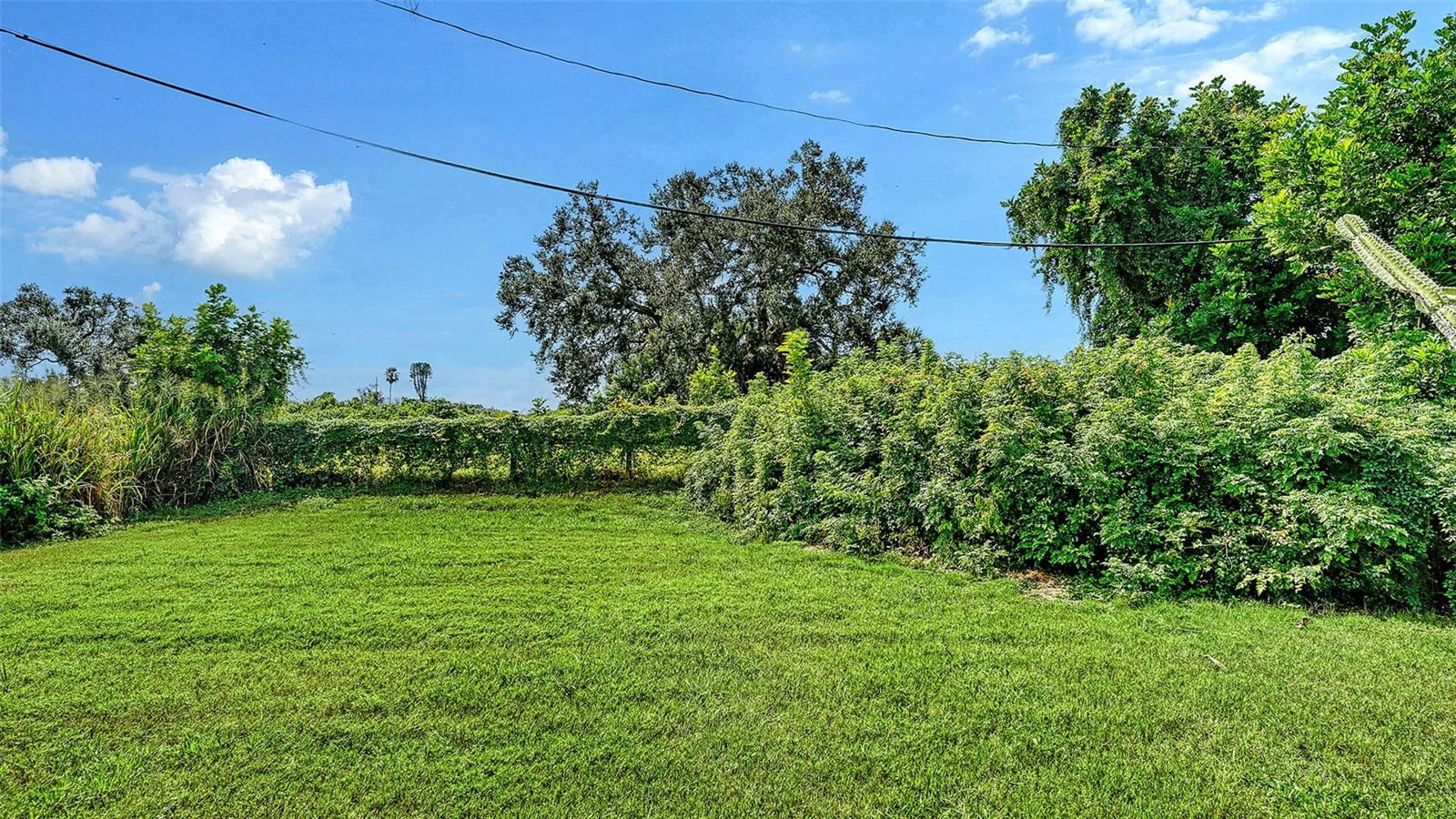 2510 BISPHAM RD — photo 35