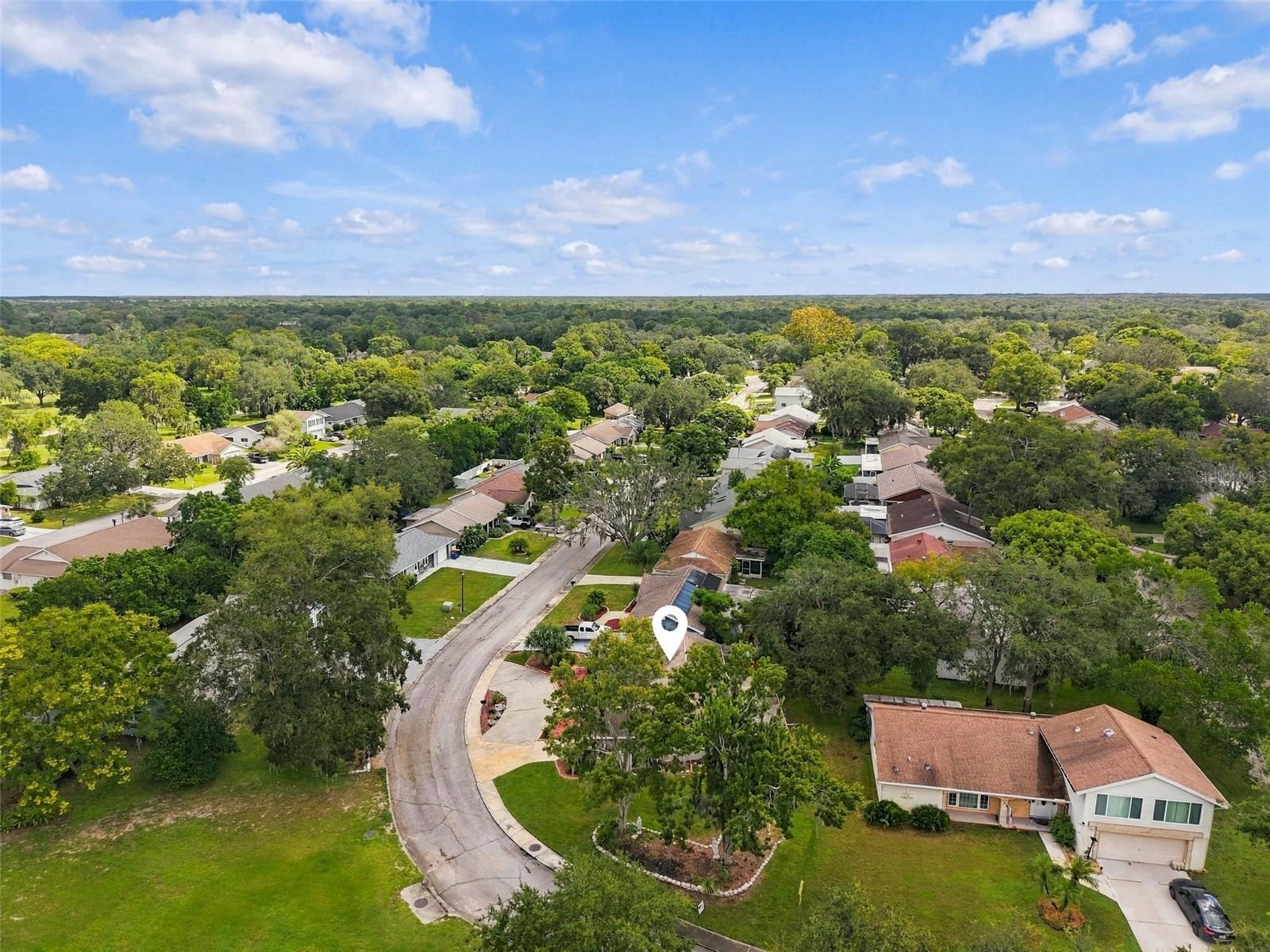8502 ARROWHEAD DR — photo 29