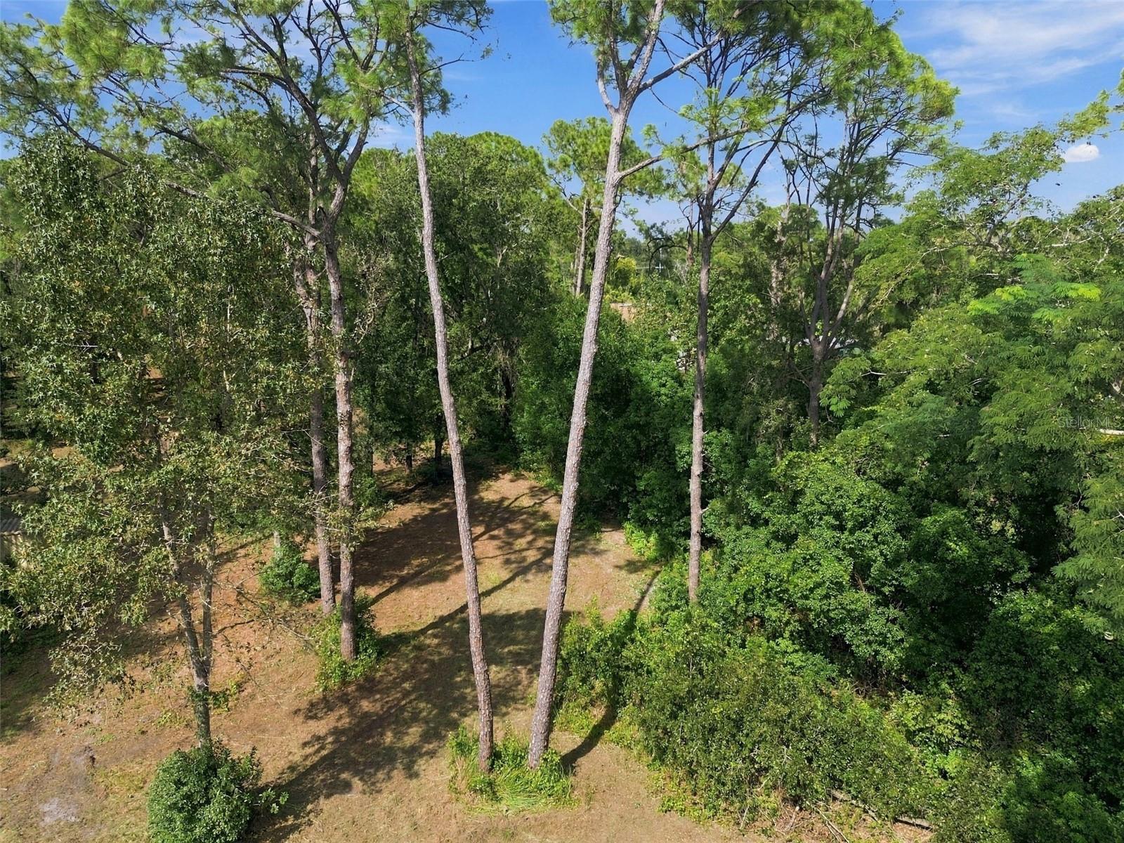 867 SUNSET LN — photo 24