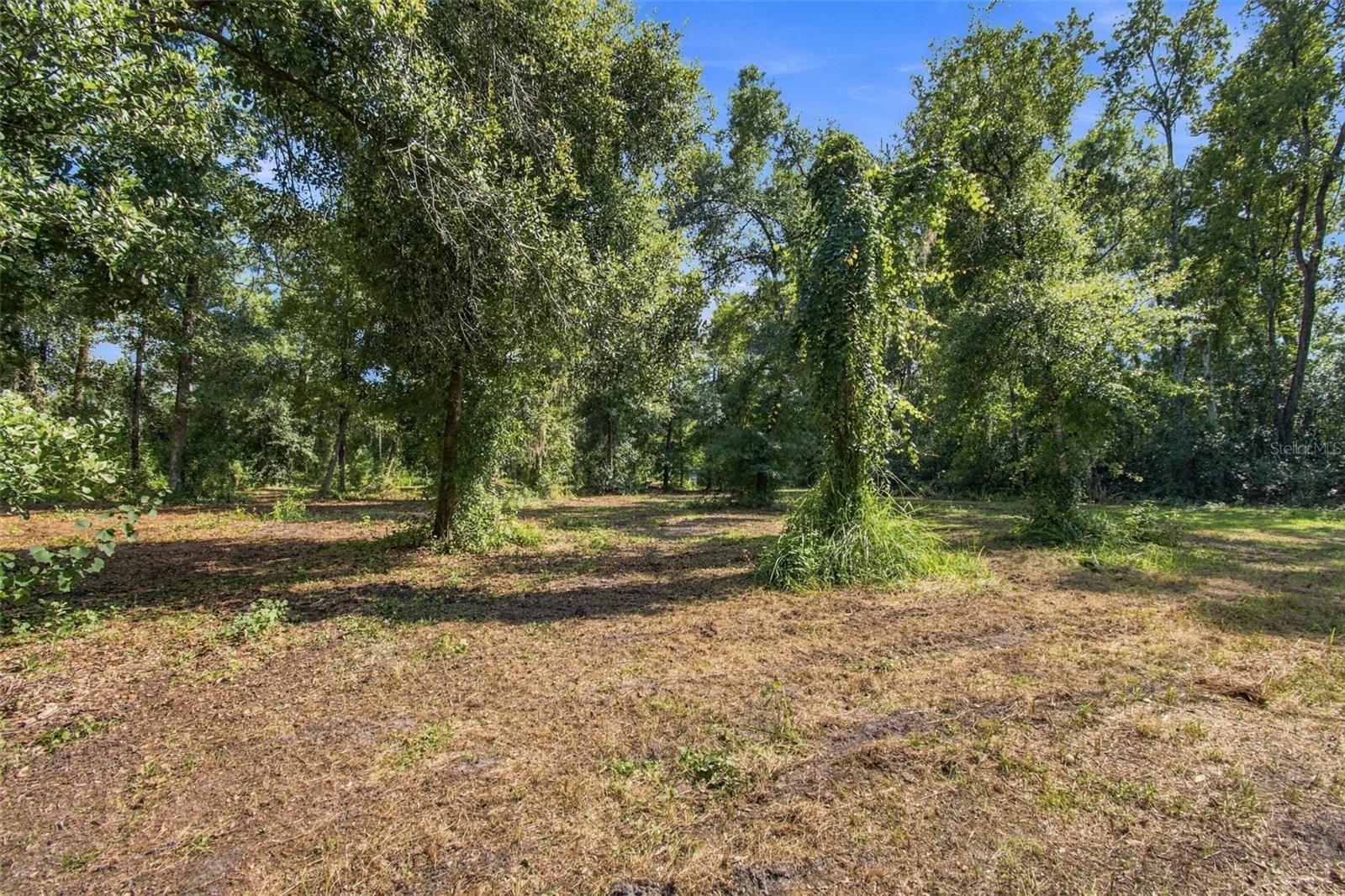 867 SUNSET LN — photo 15