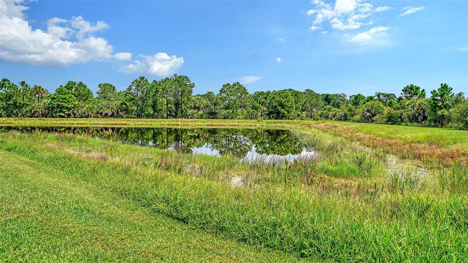 12422 WOOD FERN CT — photo 36