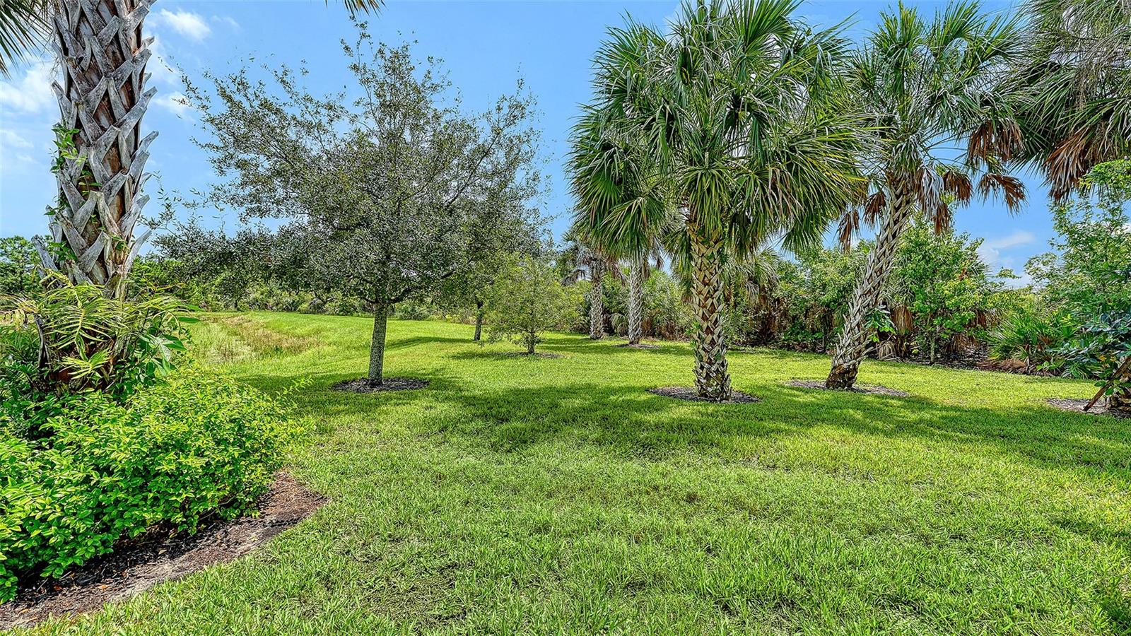 12422 WOOD FERN CT — photo 39