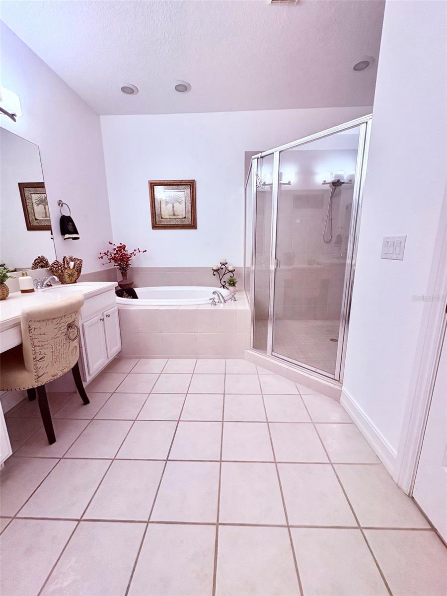 10432 LA MIRAGE CT — photo 14