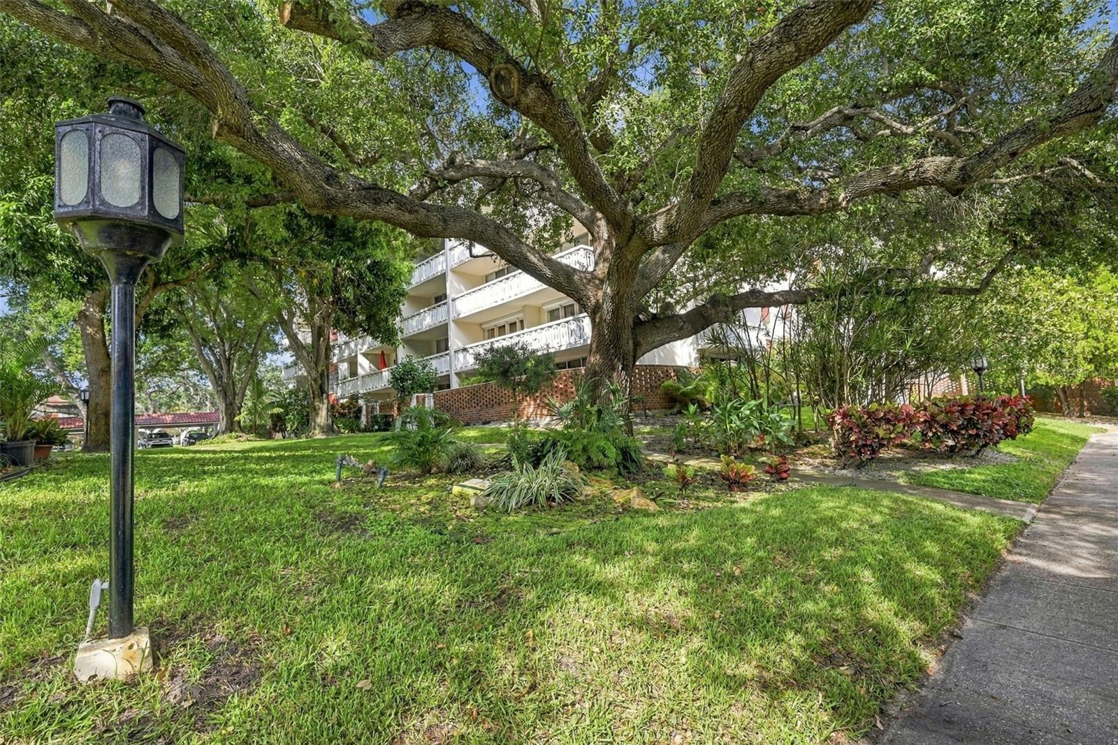 2630 PEARCE DR #308 — photo 32