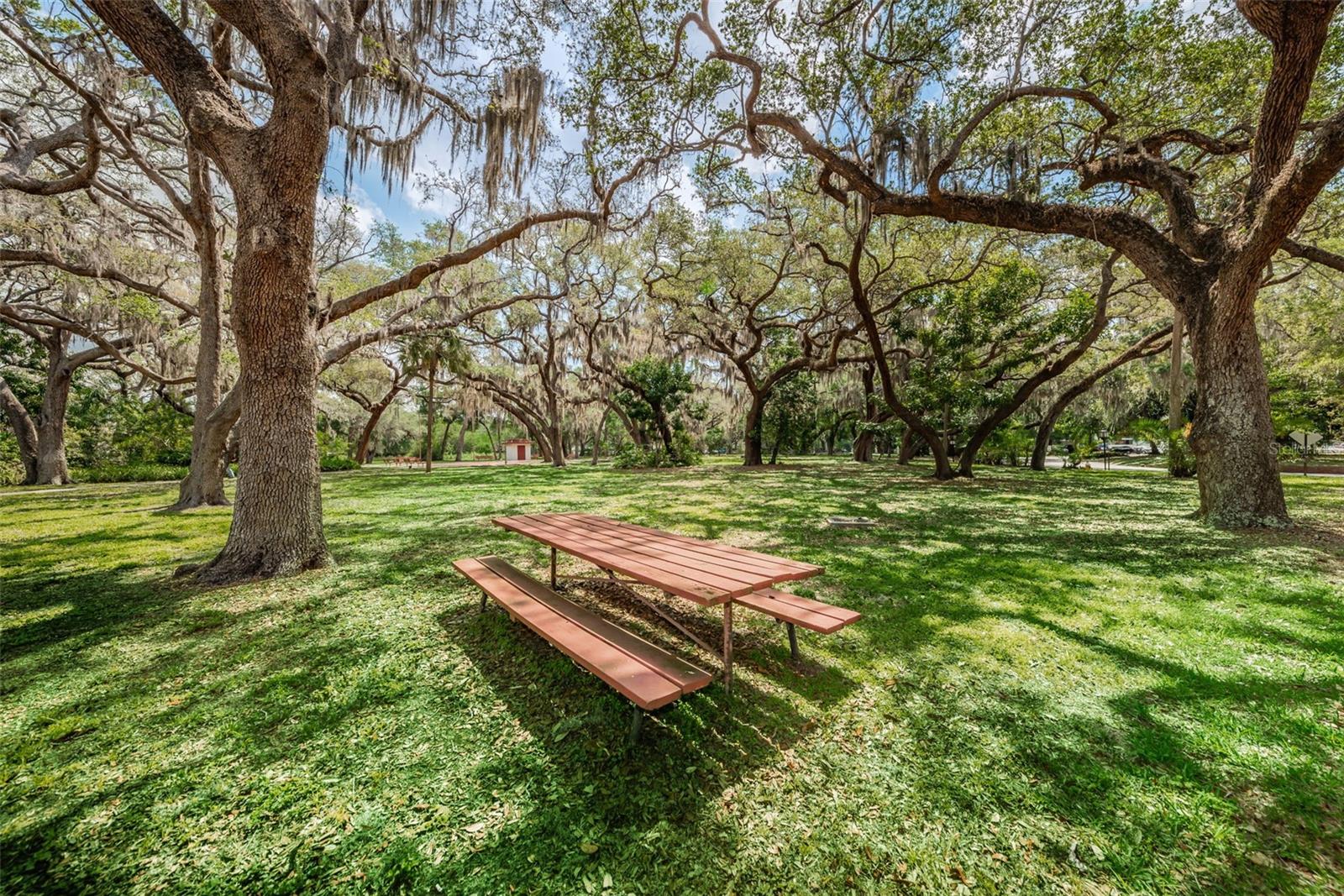 2630 PEARCE DR #308 — photo 48