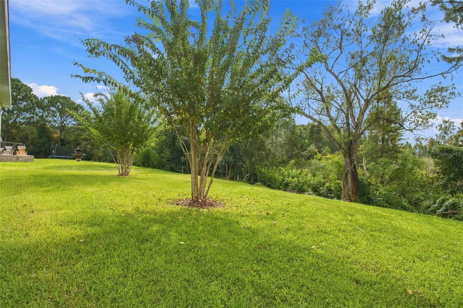30444 PECAN VALLEY LOOP — photo 34