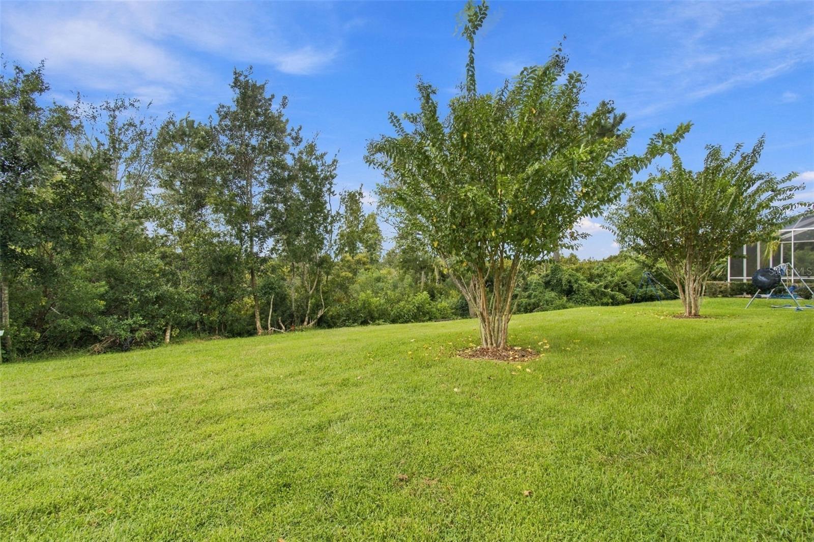 30444 PECAN VALLEY LOOP — photo 37