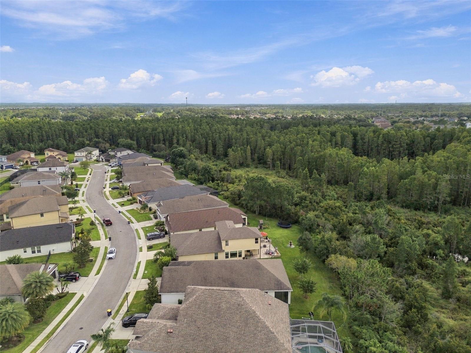 30444 PECAN VALLEY LOOP — photo 40