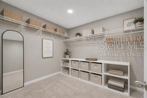 32455 SAPNA CHIME DR — photo 53
