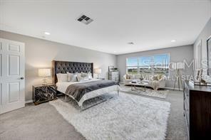 32455 SAPNA CHIME DR — photo 47