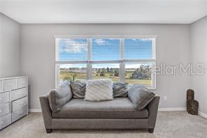 32455 SAPNA CHIME DR — photo 30