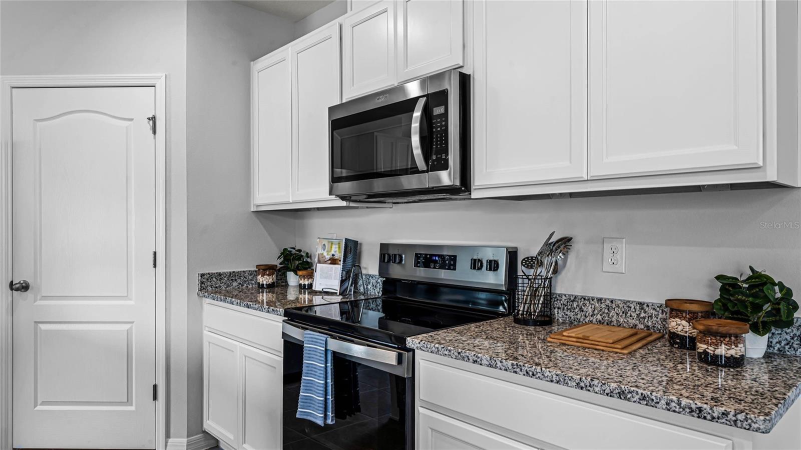 9855 BRAVE BUCK AVE — photo 9