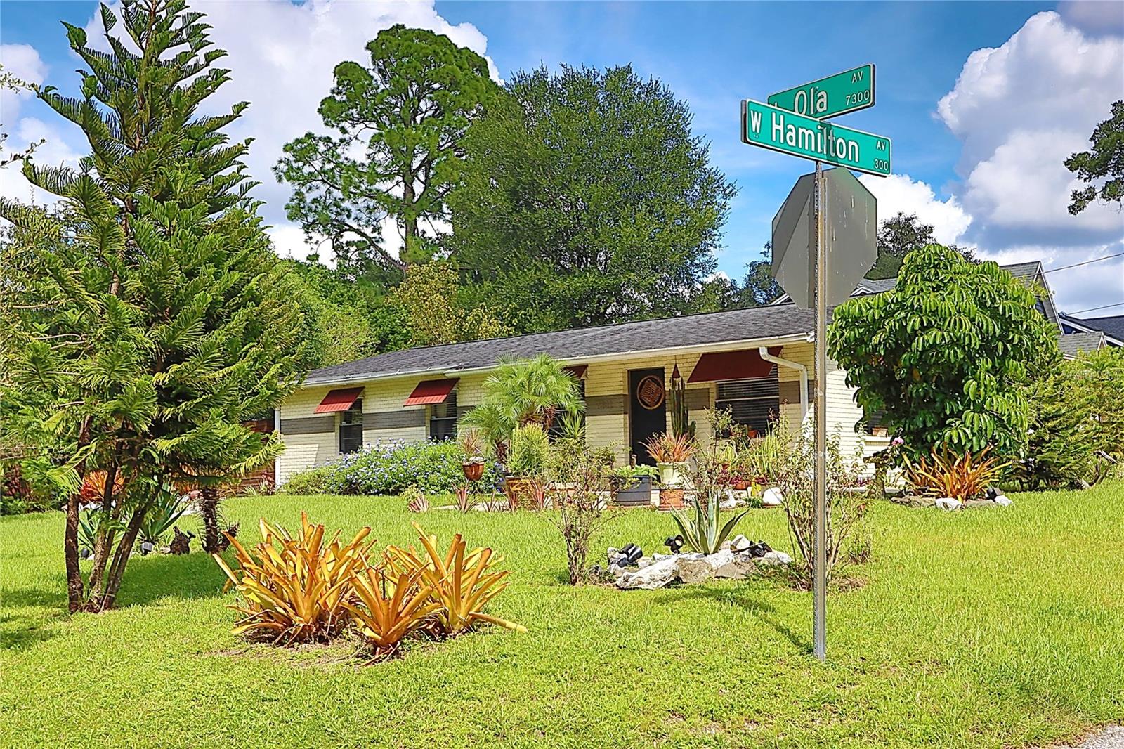 7301 N OLA AVE — photo 6