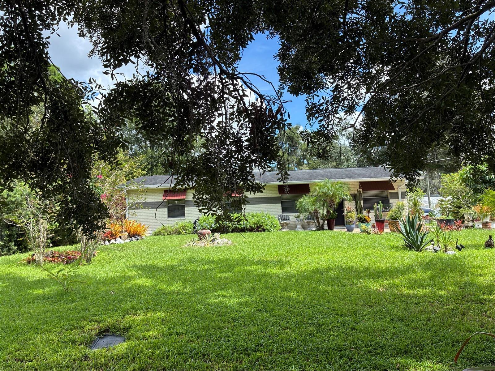 7301 N OLA AVE — photo 4