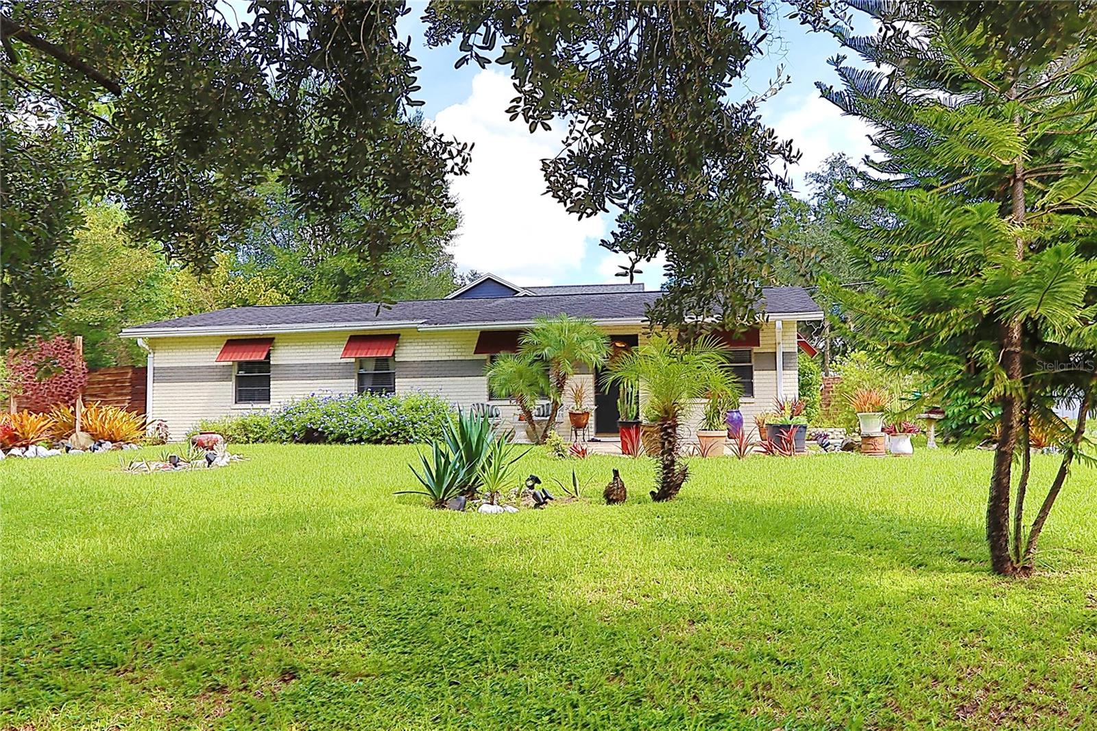 7301 N OLA AVE — photo 5