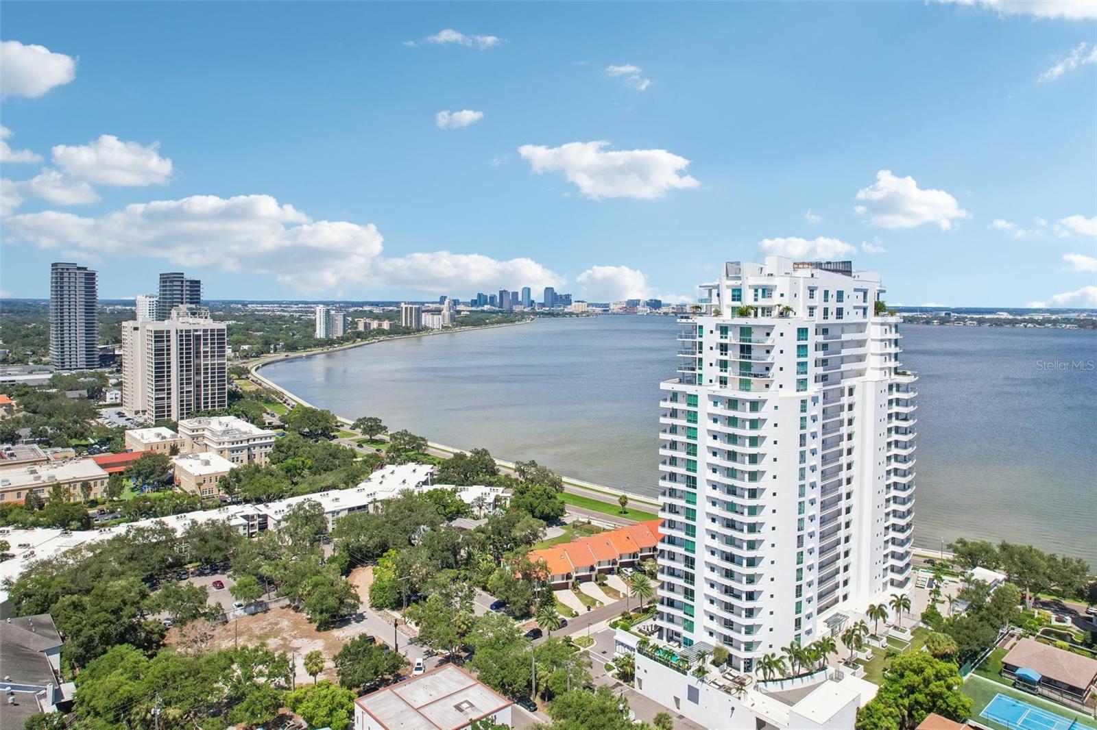 3401 BAYSHORE BLVD #1204 — photo 59