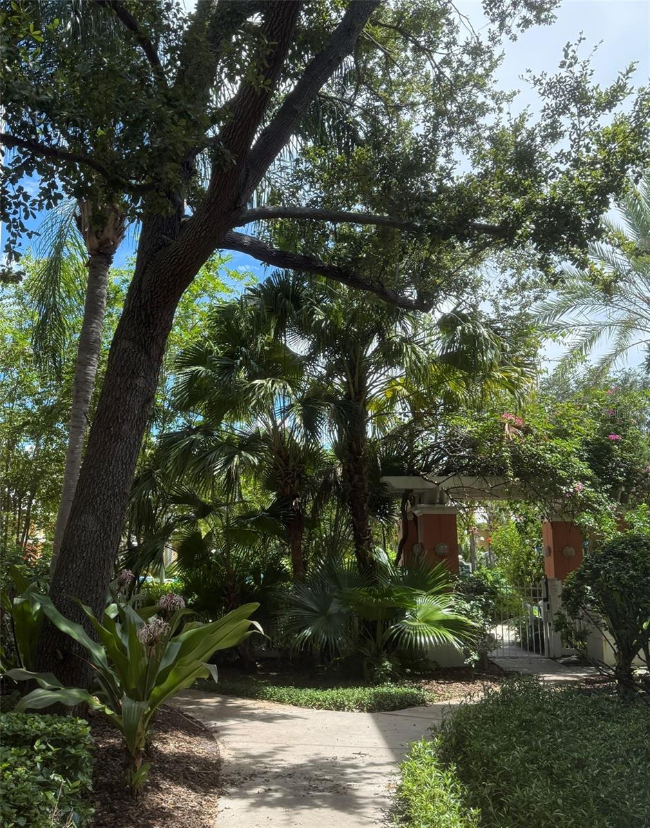 4207 S DALE MABRY HWY #12308 — photo 15