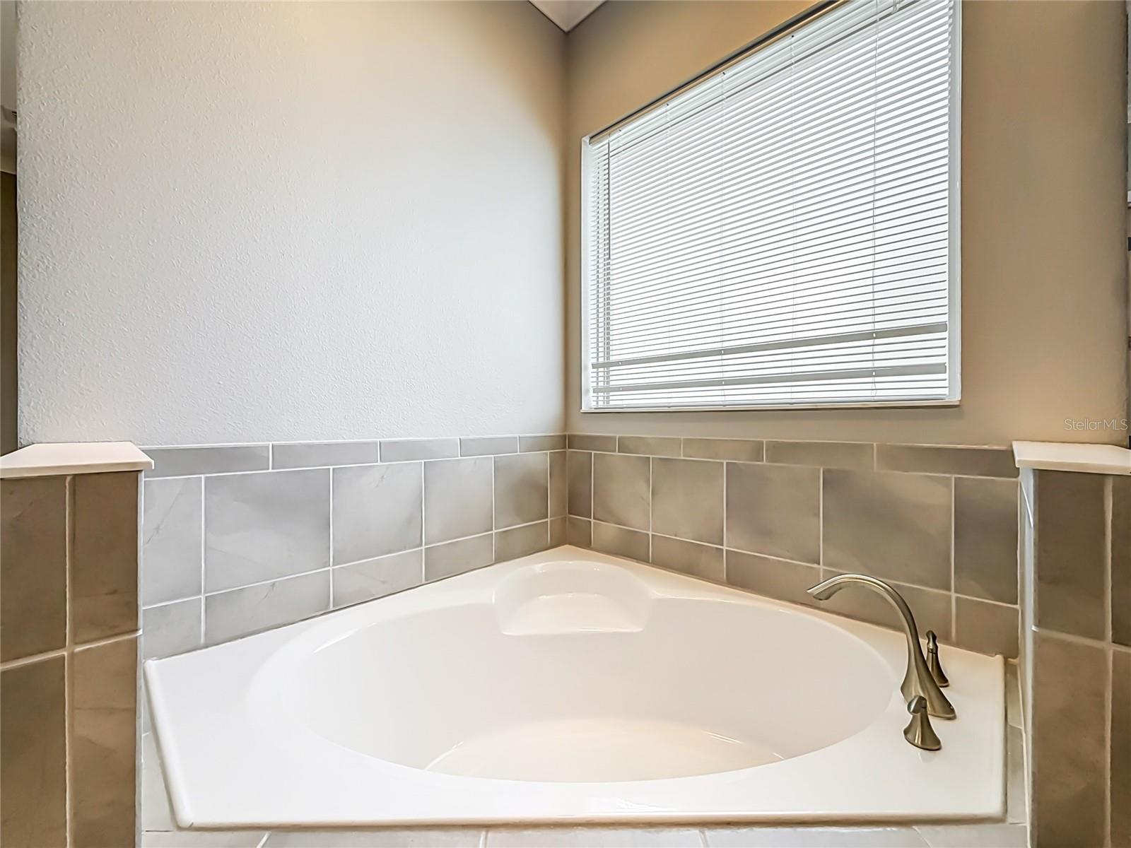 1107 ISOBEL RESERVE LN — photo 46