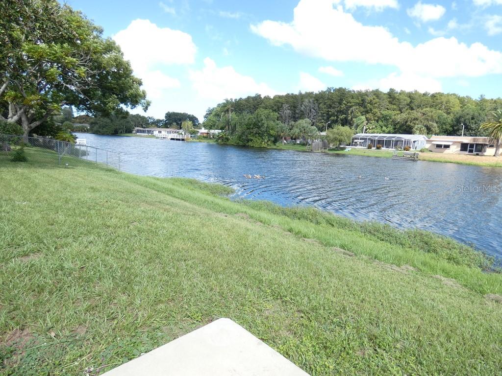7207 ASHWOOD DR — photo 3