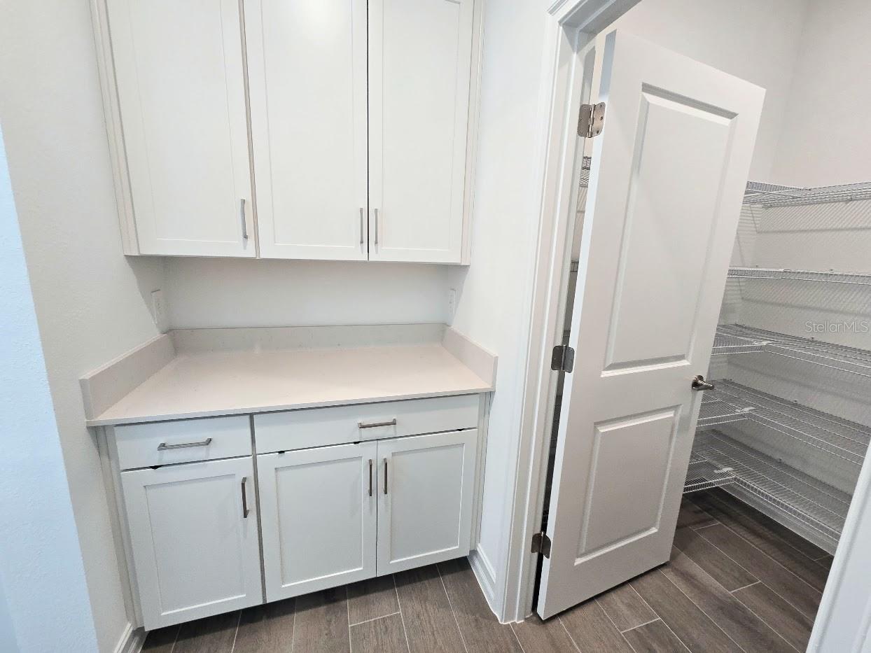 18489 SERENE LAKE LOOP — photo 19