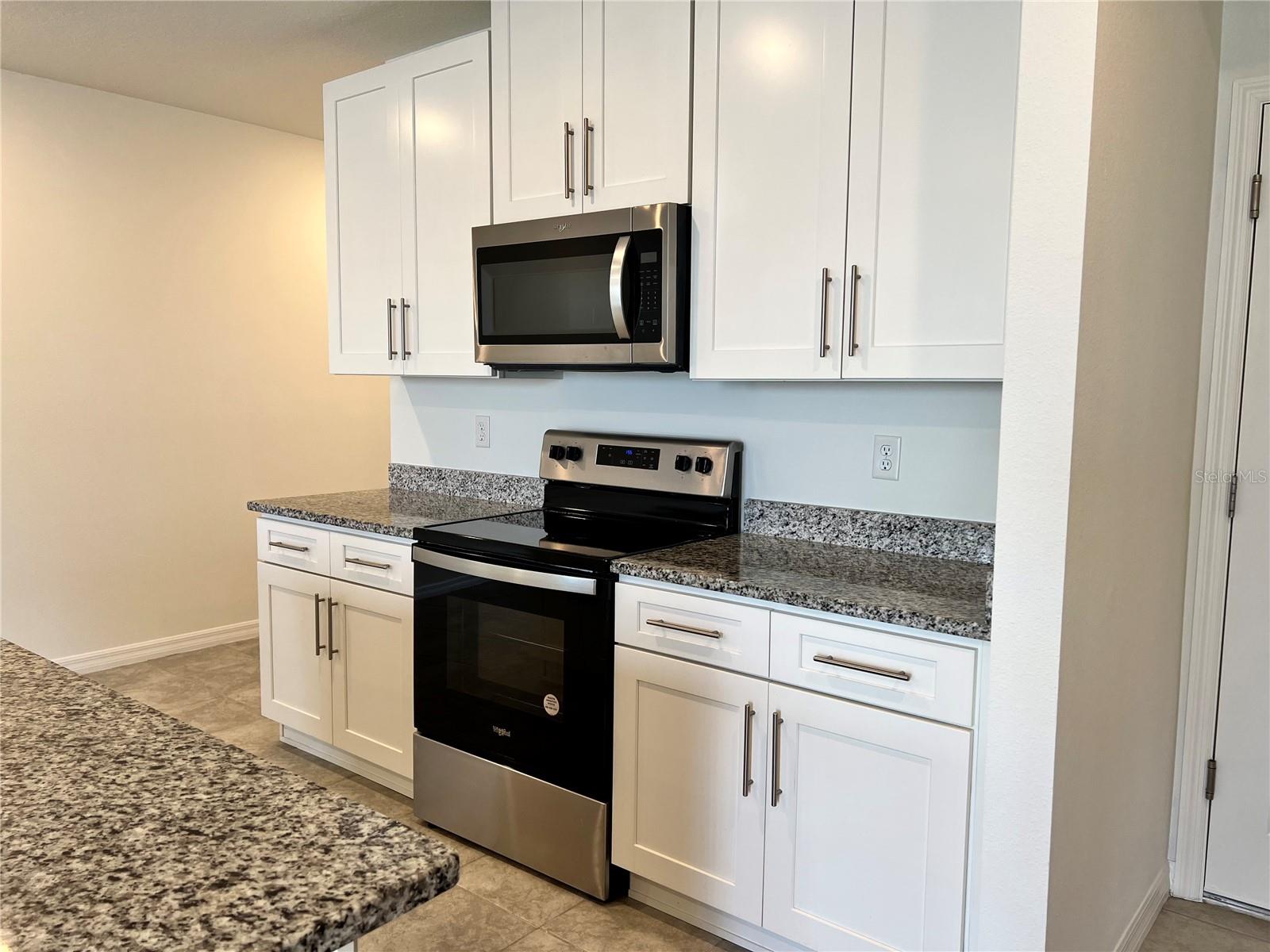 32455 LIMITLESS PLACE — photo 13