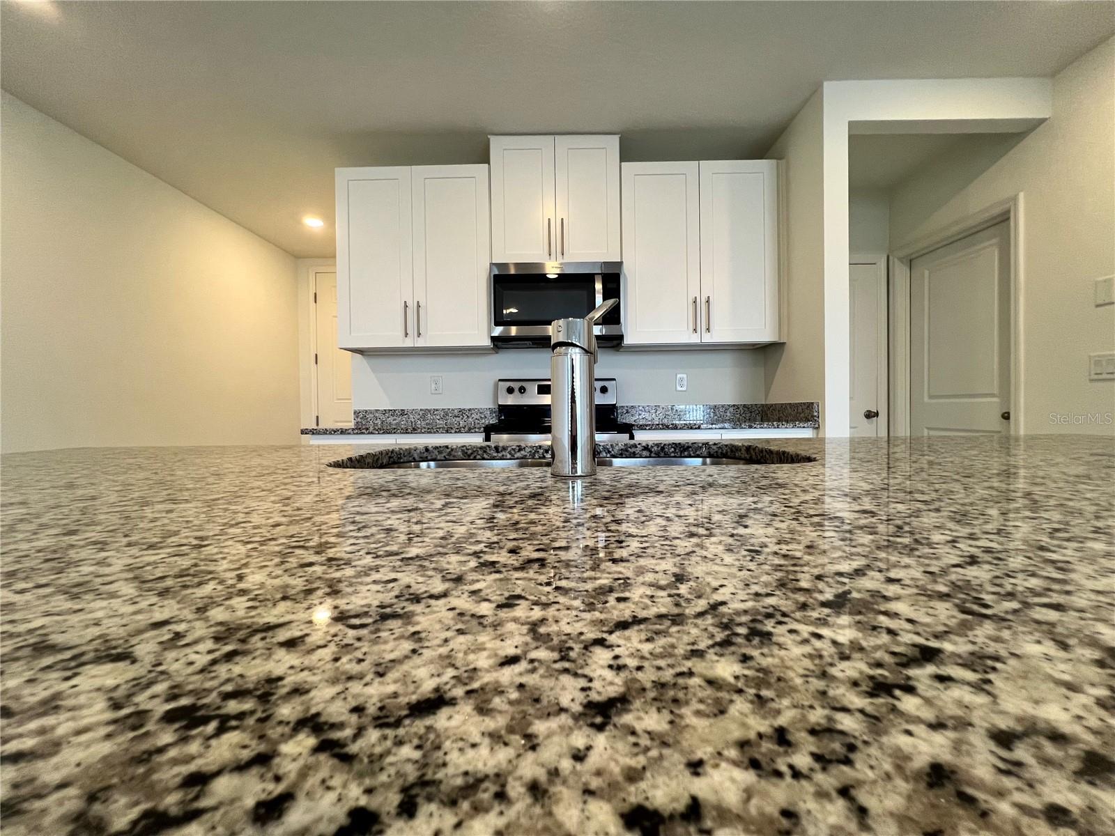 32455 LIMITLESS PLACE — photo 17