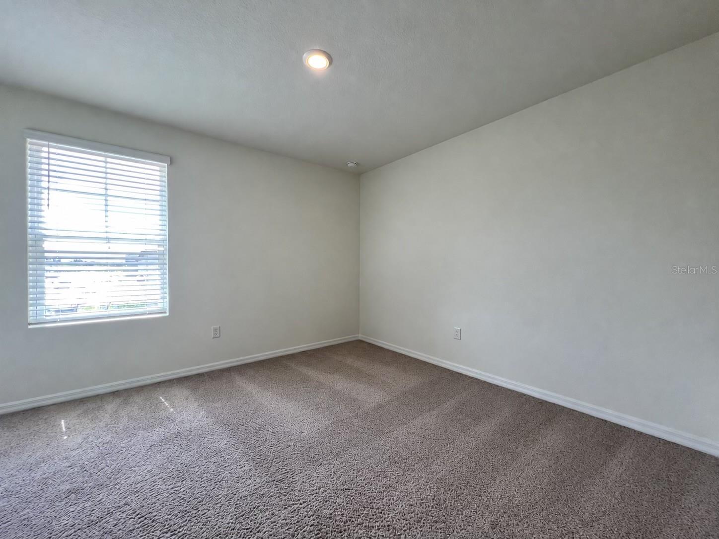 32455 LIMITLESS PLACE — photo 24