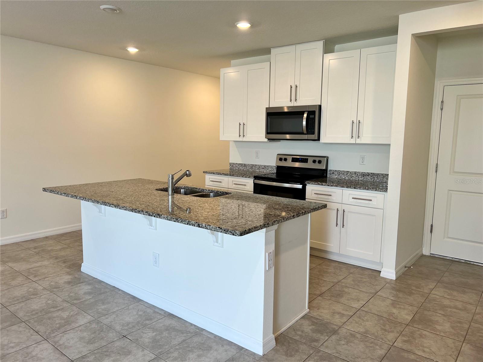 32455 LIMITLESS PLACE — photo 12