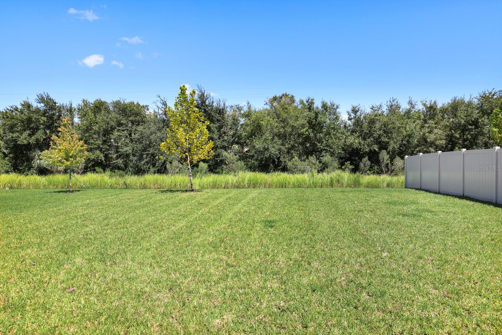 13034 WELLSPRING DR — photo 5