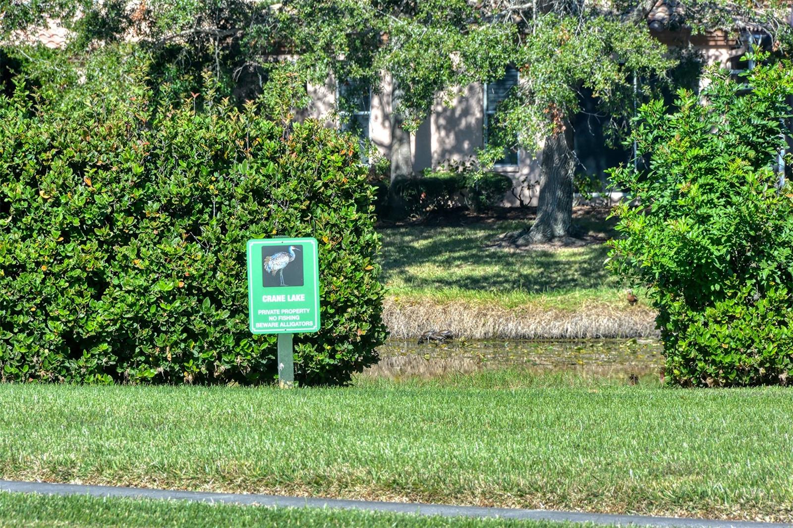 4060 JARDIN LN — photo 50