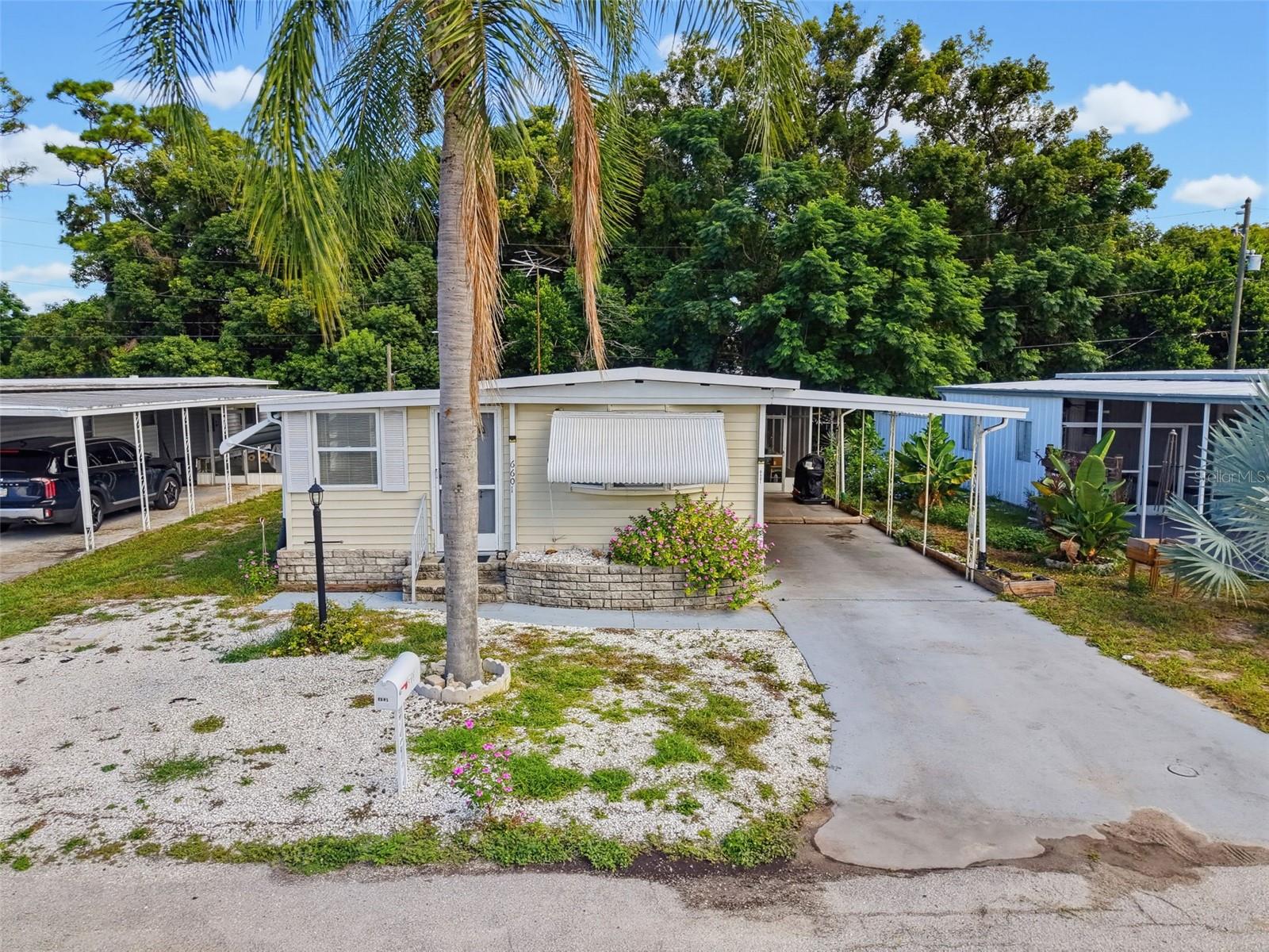 6601 KUMQUAT DR — photo 7