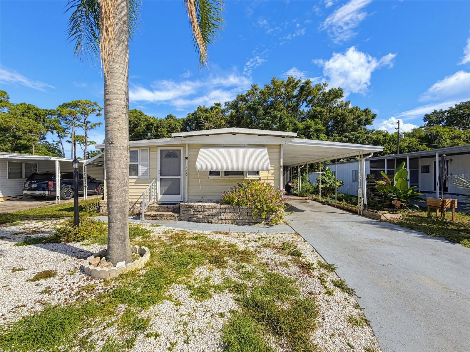 6601 KUMQUAT DR — photo 6