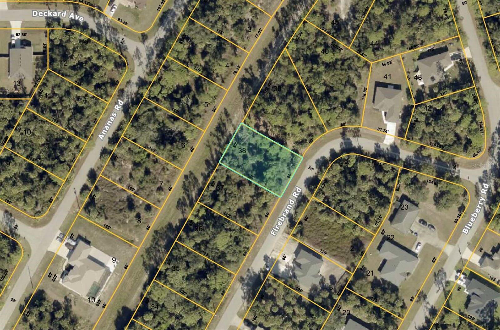 FIREBRAND RD — photo 2