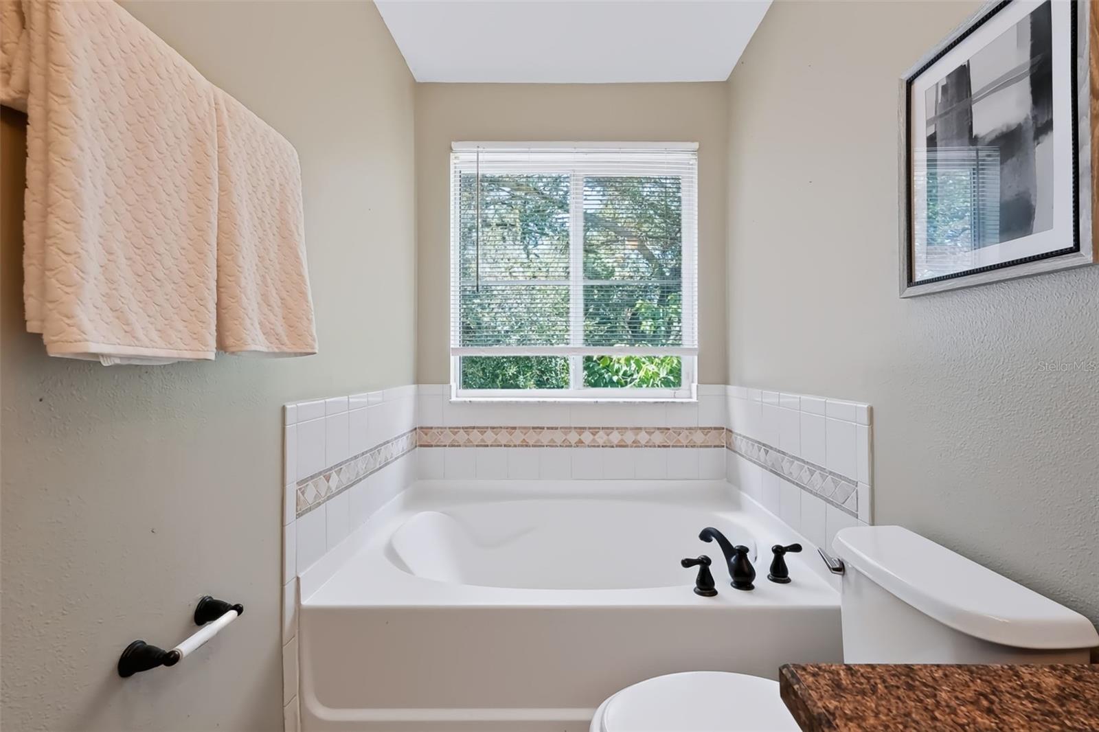 4525 LIMERICK DR — photo 24