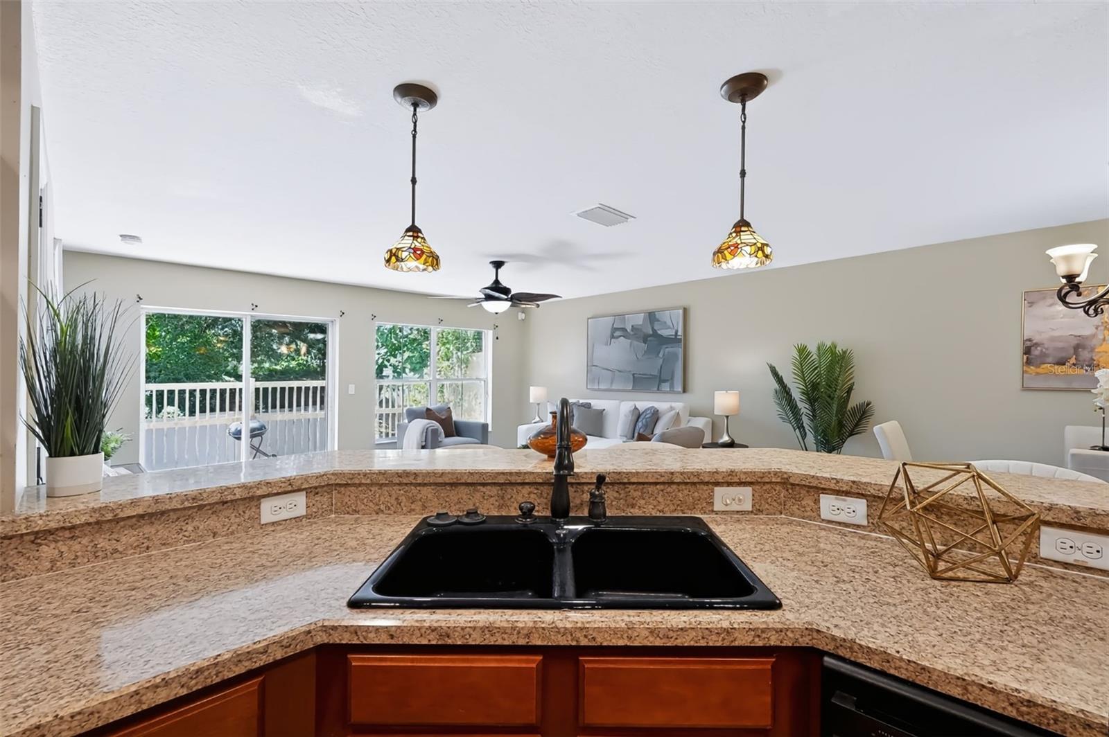 4525 LIMERICK DR — photo 15