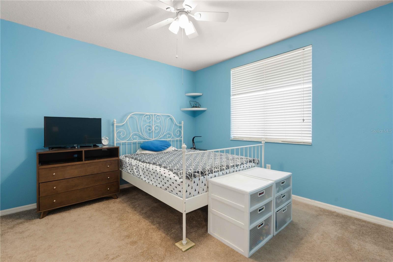 30406 COLEHAVEN CT — photo 42