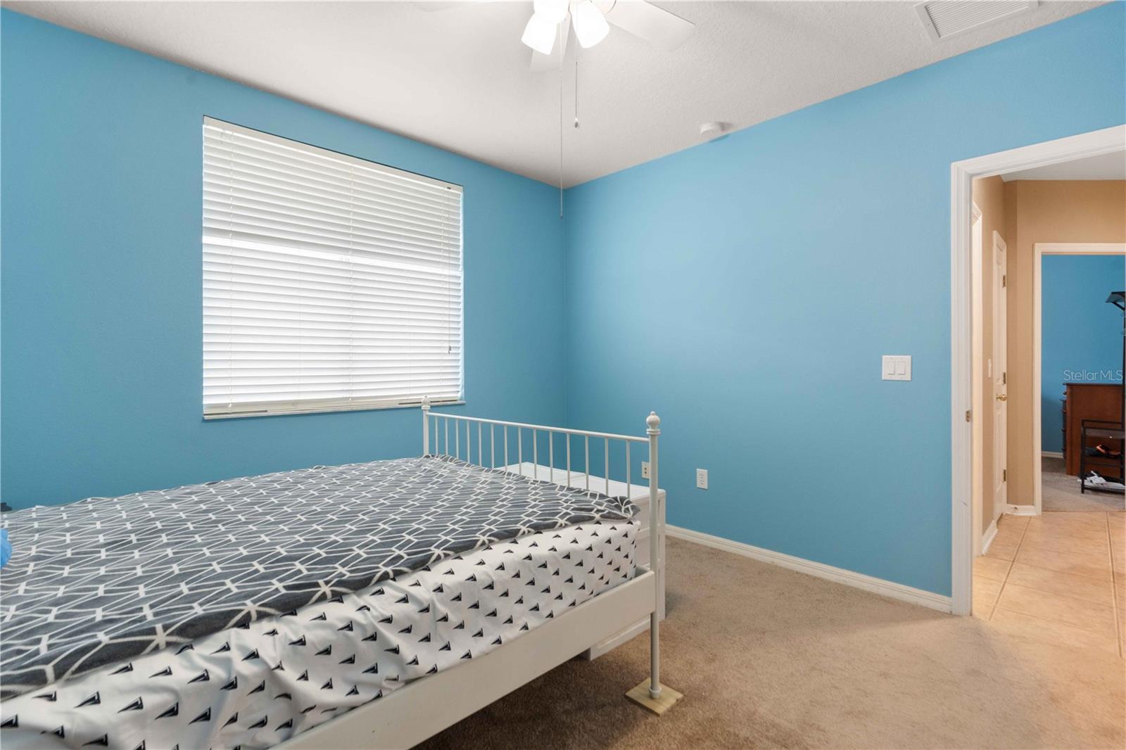 30406 COLEHAVEN CT — photo 43