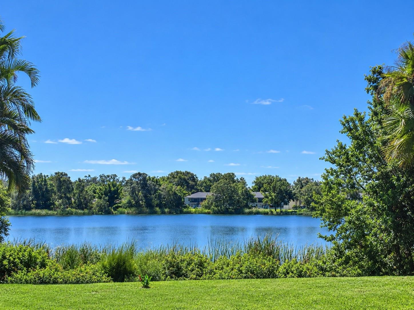 13725 JUNIPER BLOSSOM DR #202 — photo 19