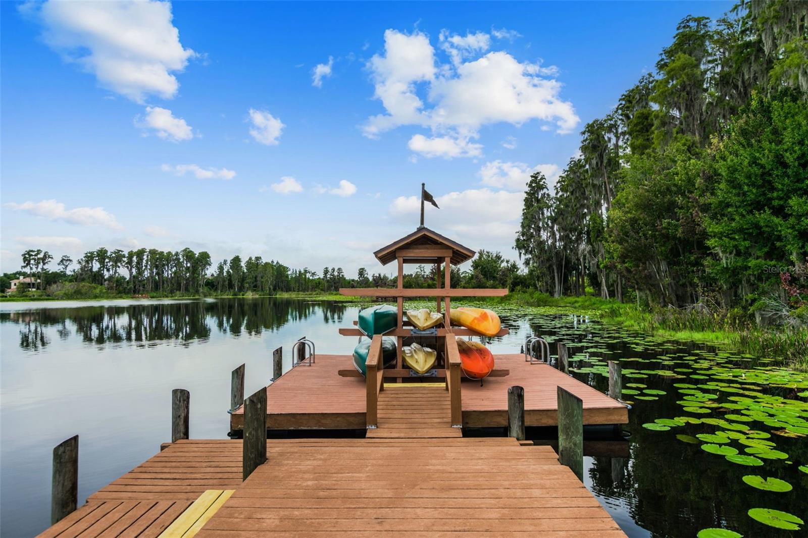 21444 CORMORANT COVE DR — photo 71