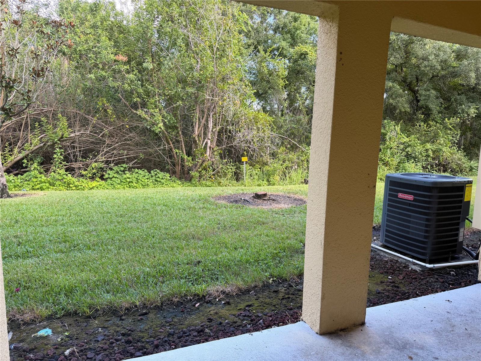 8909 WHITE SAGE LOOP — photo 14