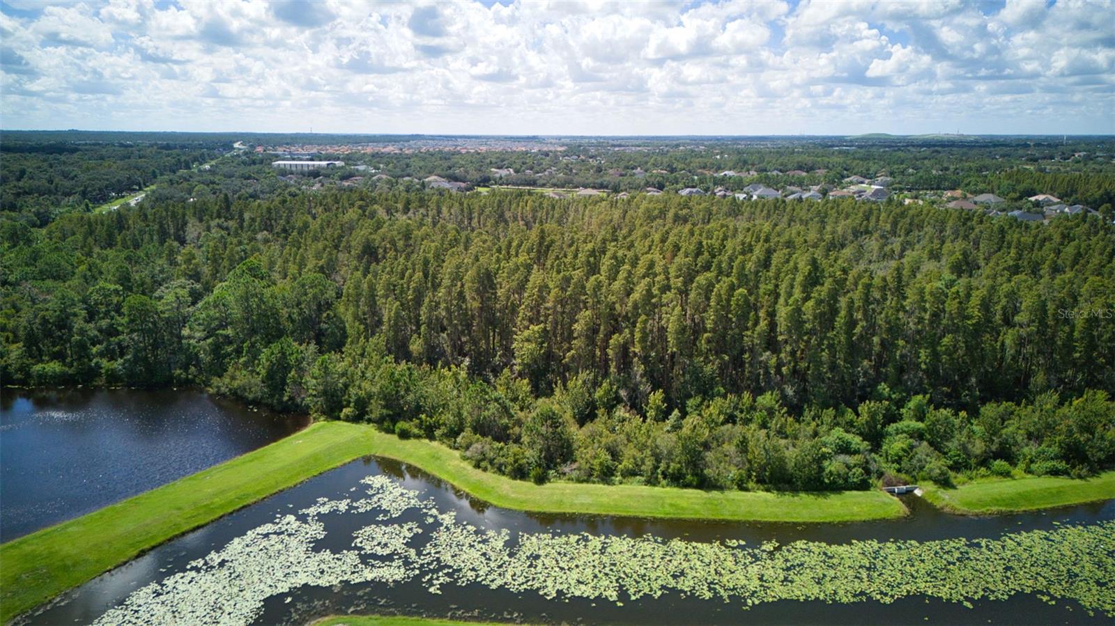 11924 WINTERSET COVE DR — photo 87