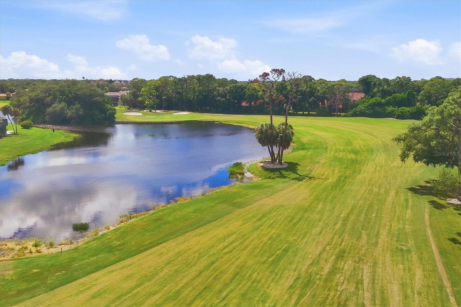 7768 FAIRWAY WOODS DR #1306 — photo 53