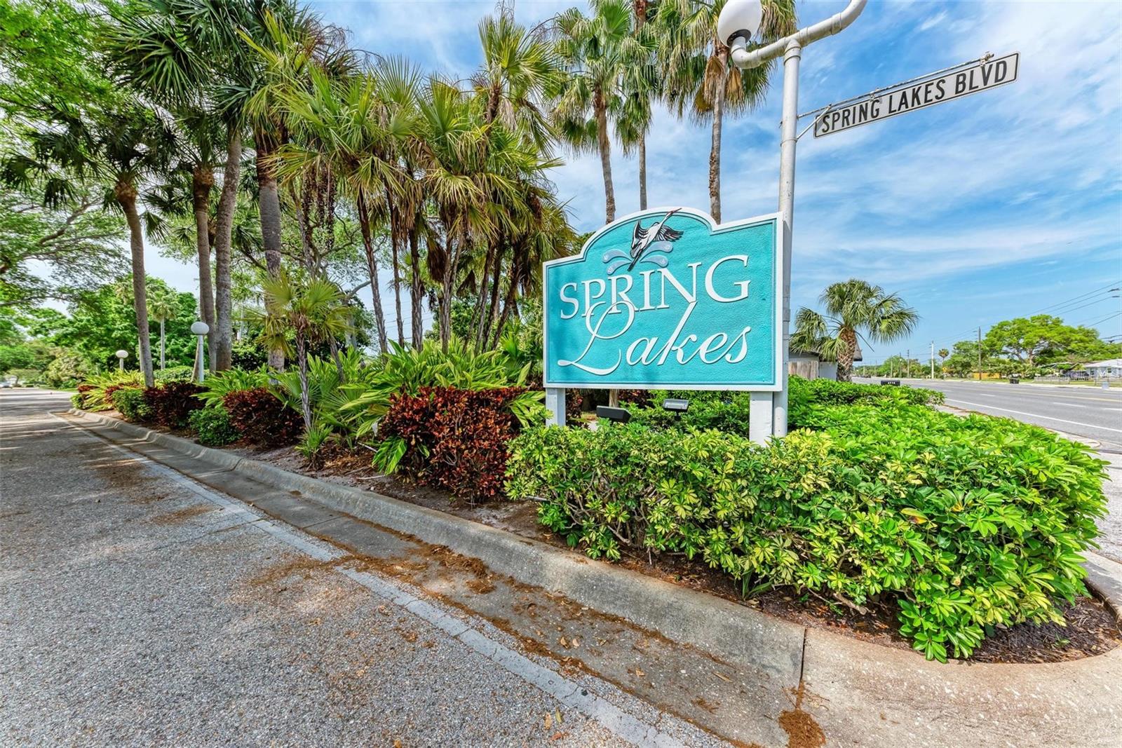 812 SPRING LAKES BLVD. — photo 48