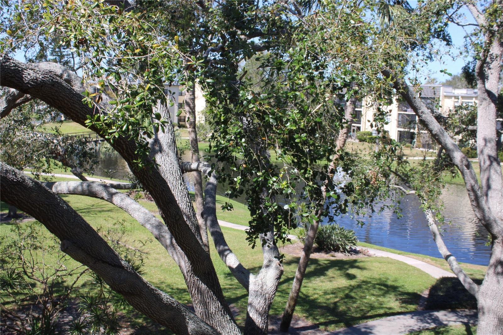 14130 ROSEMARY LN #1305 — photo 2