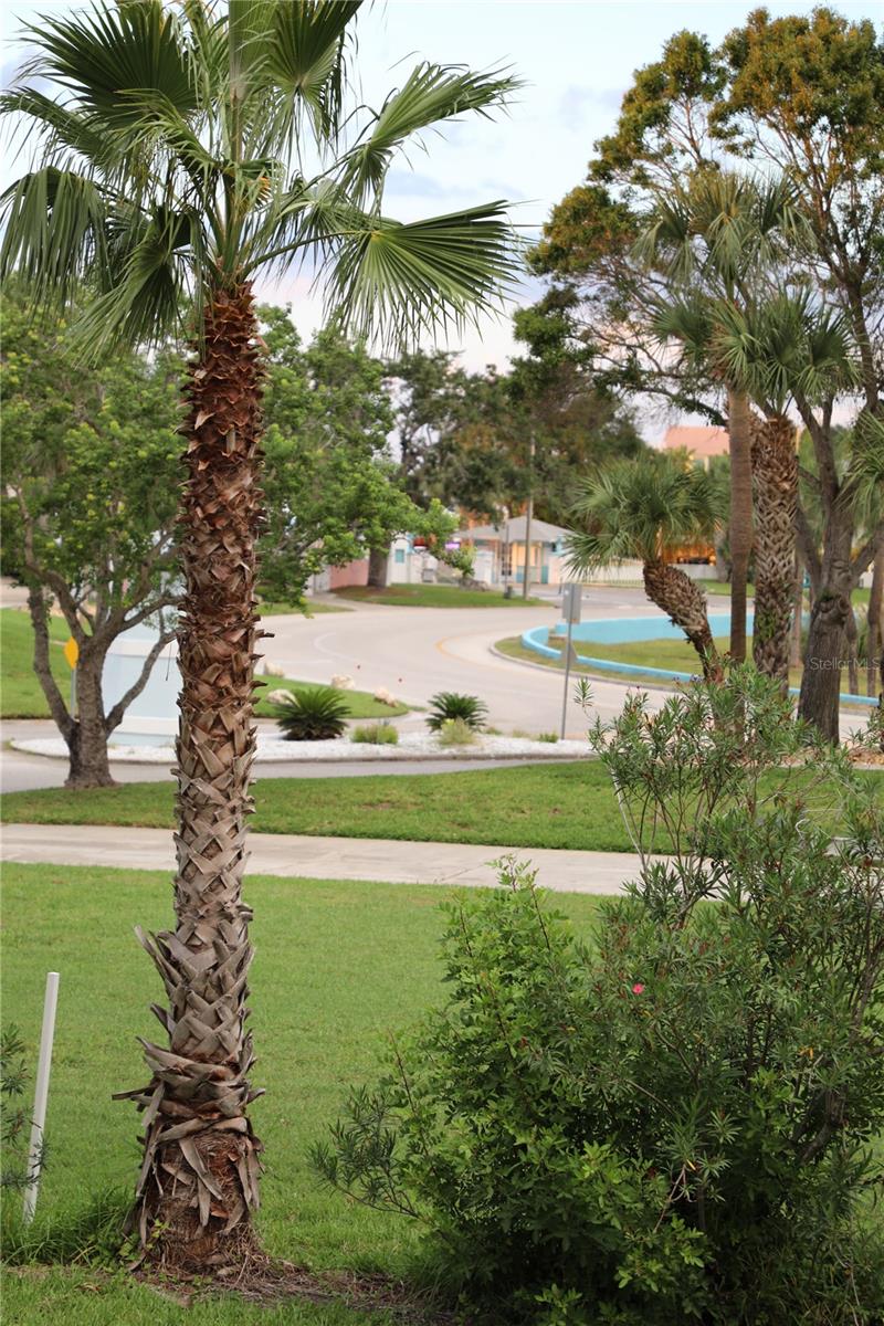 5226 WESTSHORE DR — photo 33