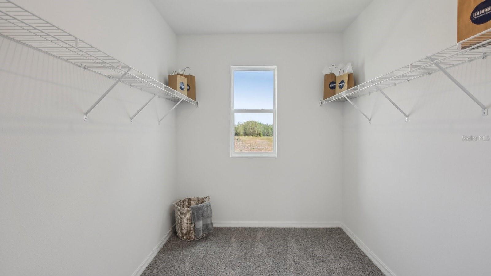 32336 WEATHERED OAK DR — photo 26