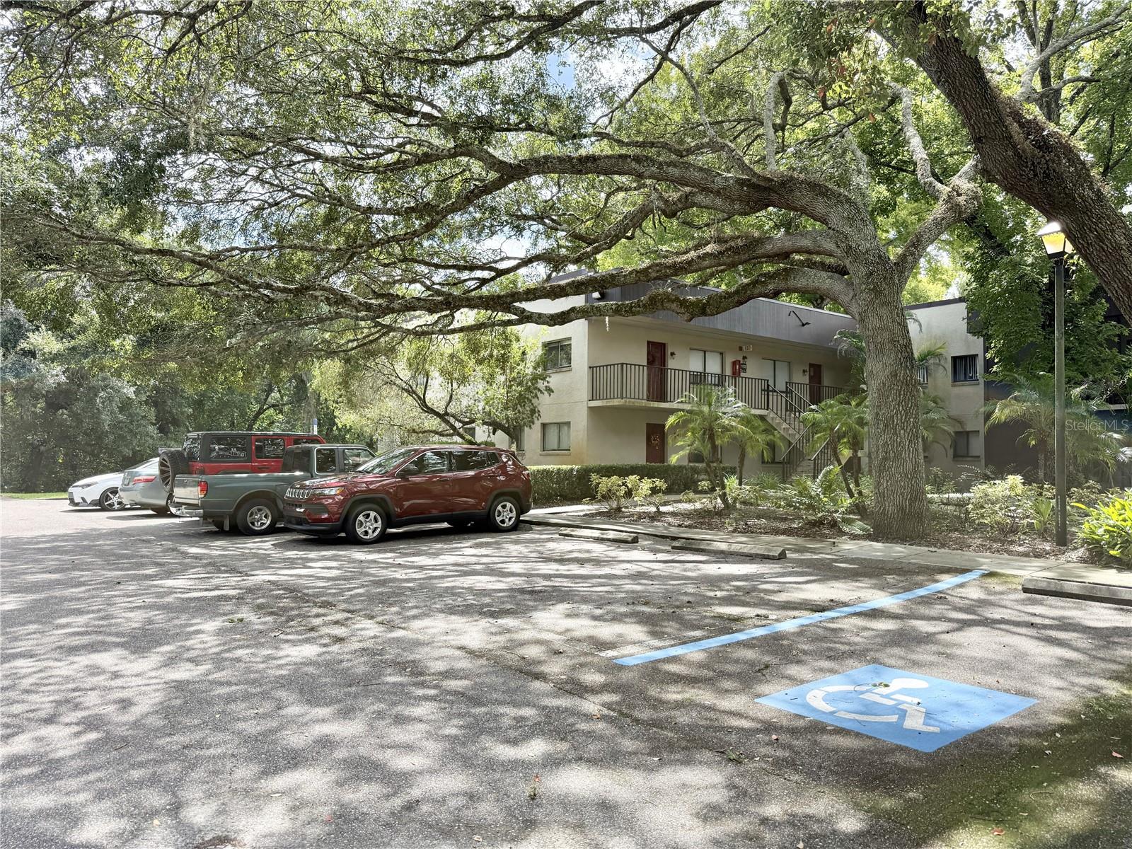11723 RAINTREE VILLAGE BLVD #D — photo 18