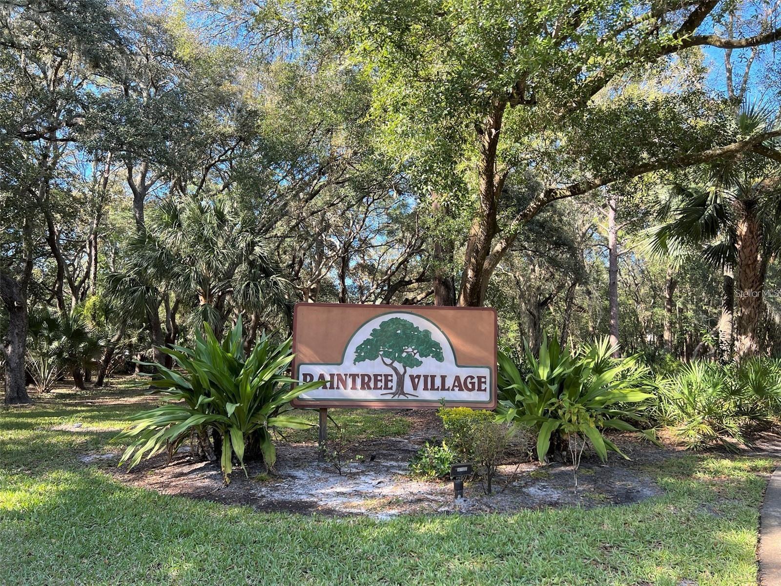11723 RAINTREE VILLAGE BLVD #D — photo 19