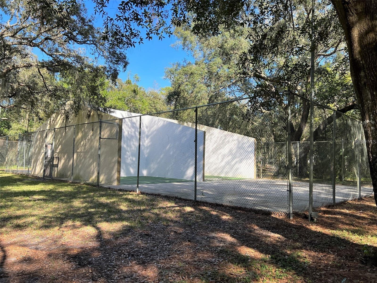 11723 RAINTREE VILLAGE BLVD #D — photo 23